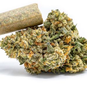 LA Beatnik Preroll